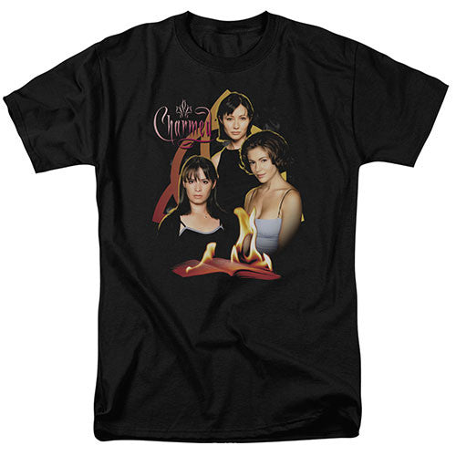 Charmed Original 3 TV Show Adult Unisex Tshirt Size S-2X
100% Cotton High Quality Pre Shrunk Machine Washable T Shirt