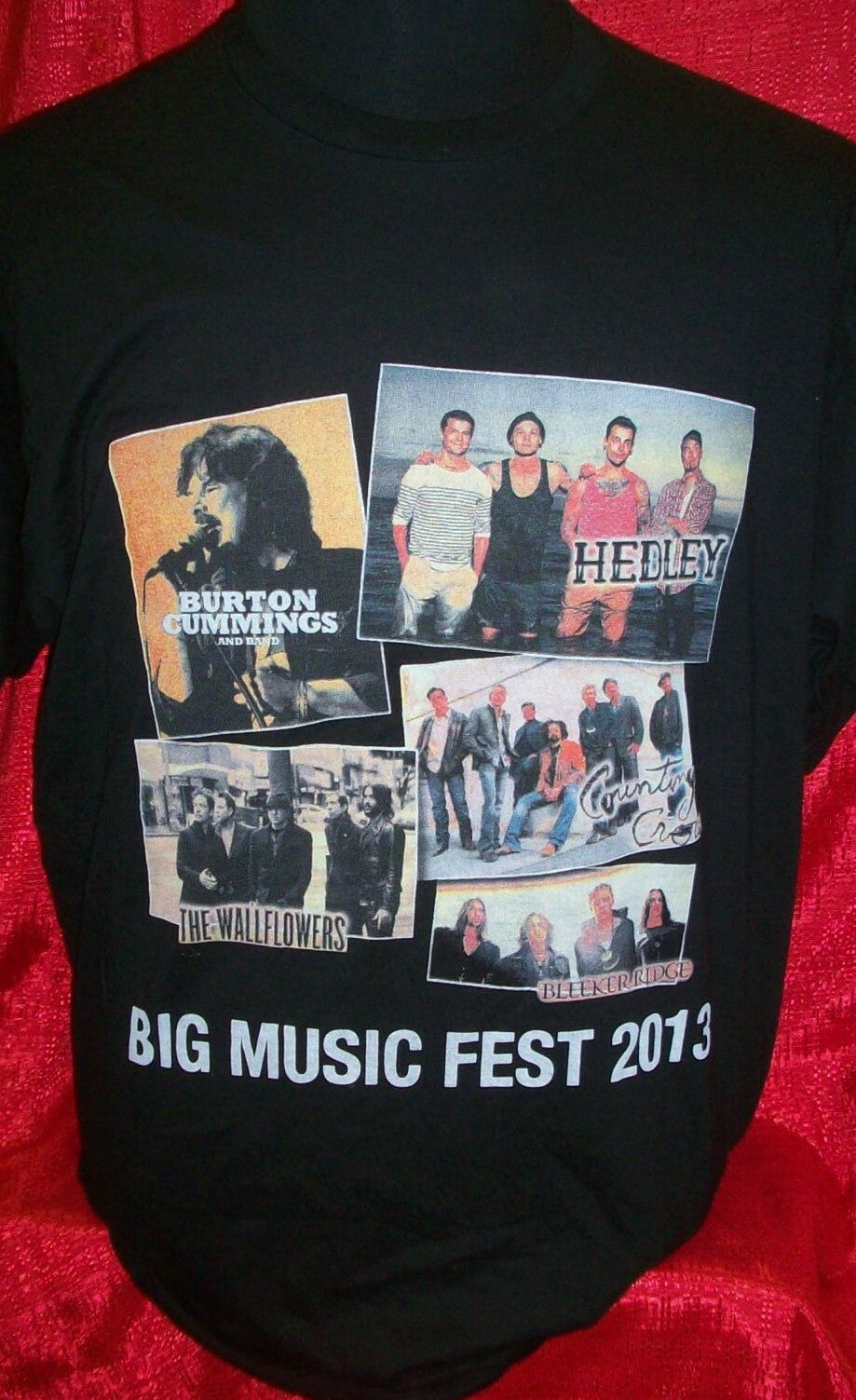 2013 Canadian Big Music Fest Mens XL Unisex T-Shirt - Burt Cummings & More