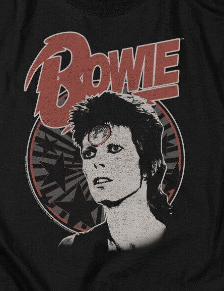 David Bowie "Ziggy Stardust" Mens Adult Unisex T-Shirt -Available Sm to 5x -new