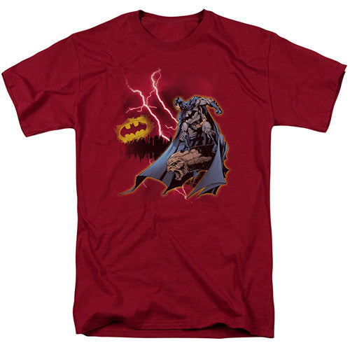 DC Comics Batman Lighting Strikes Adult/Unisex Tshirt Size S-2X
100% Cotton High Quality Pre Shrunk Machine Washable Tshirt