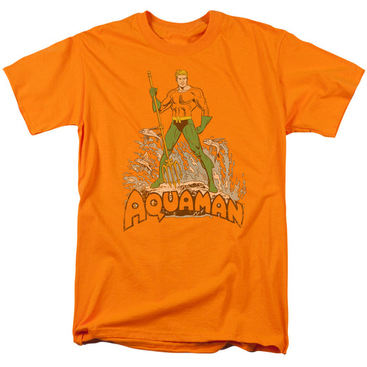 Aquaman-Distressed
100% cotton high quality pre shrunk machine washable t-shirt